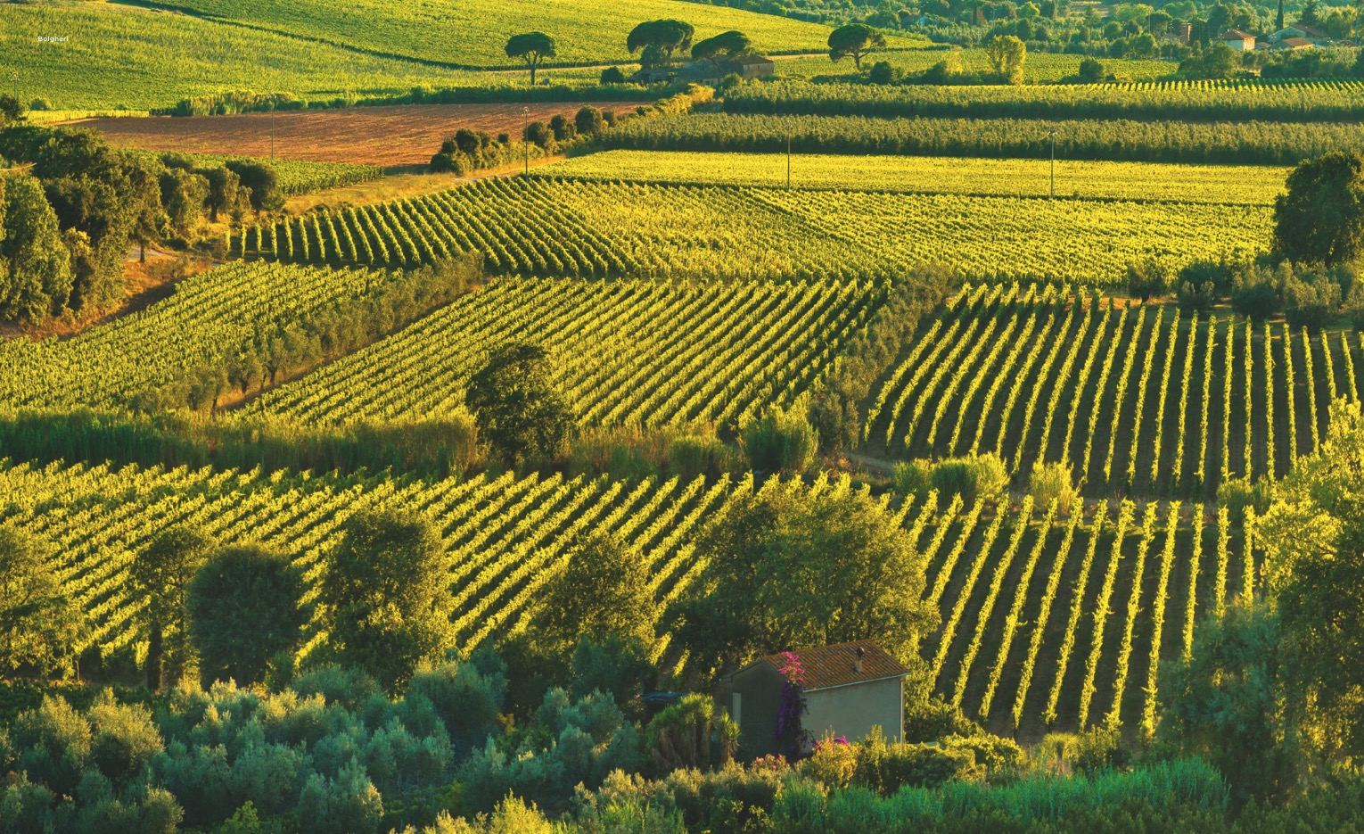 Toscana Toscana