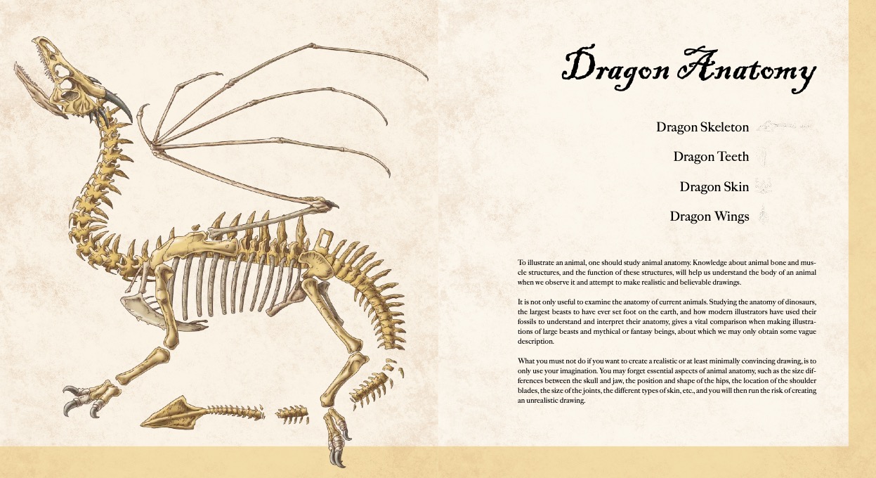 Dragons Dragons