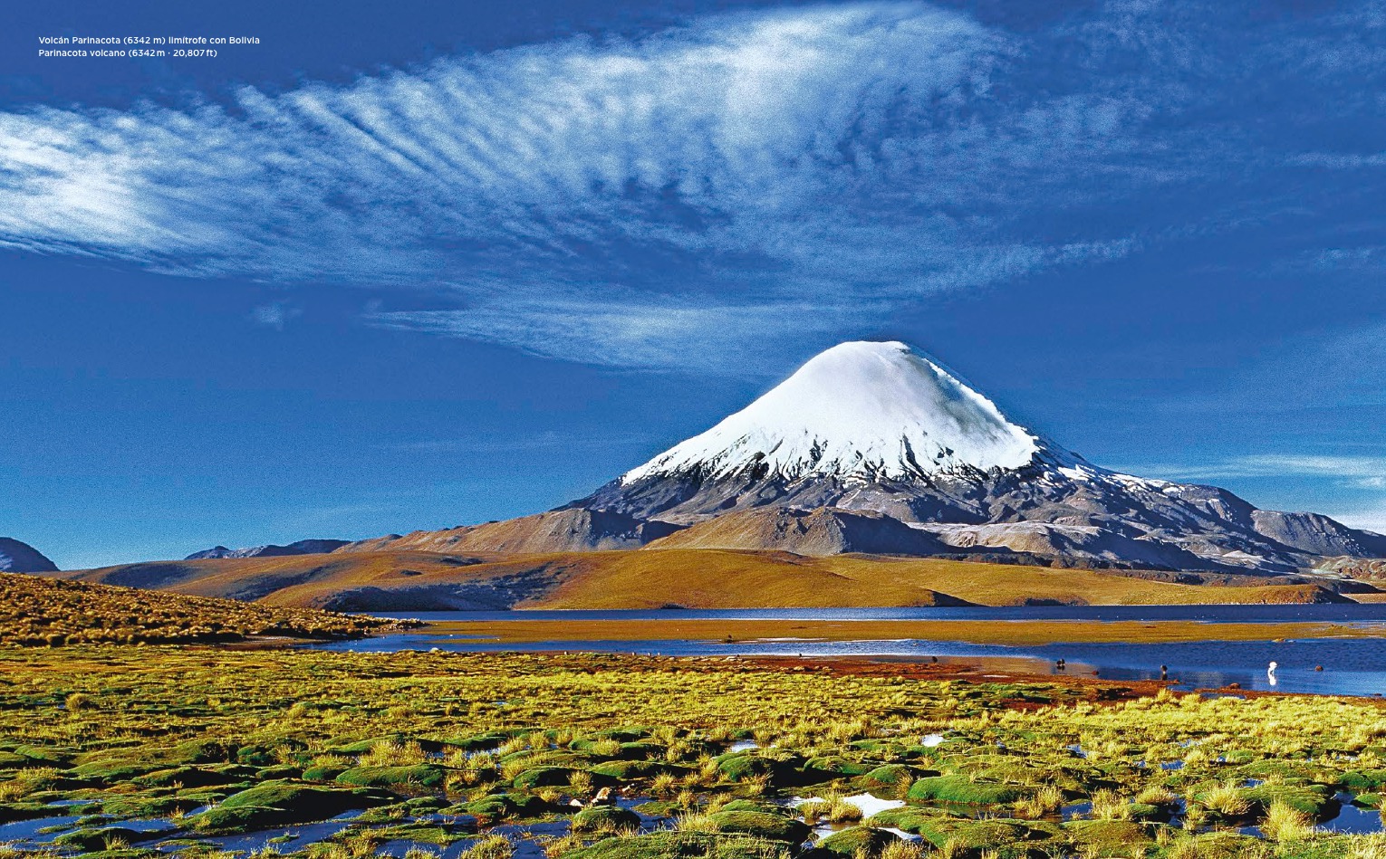 Chile Chile