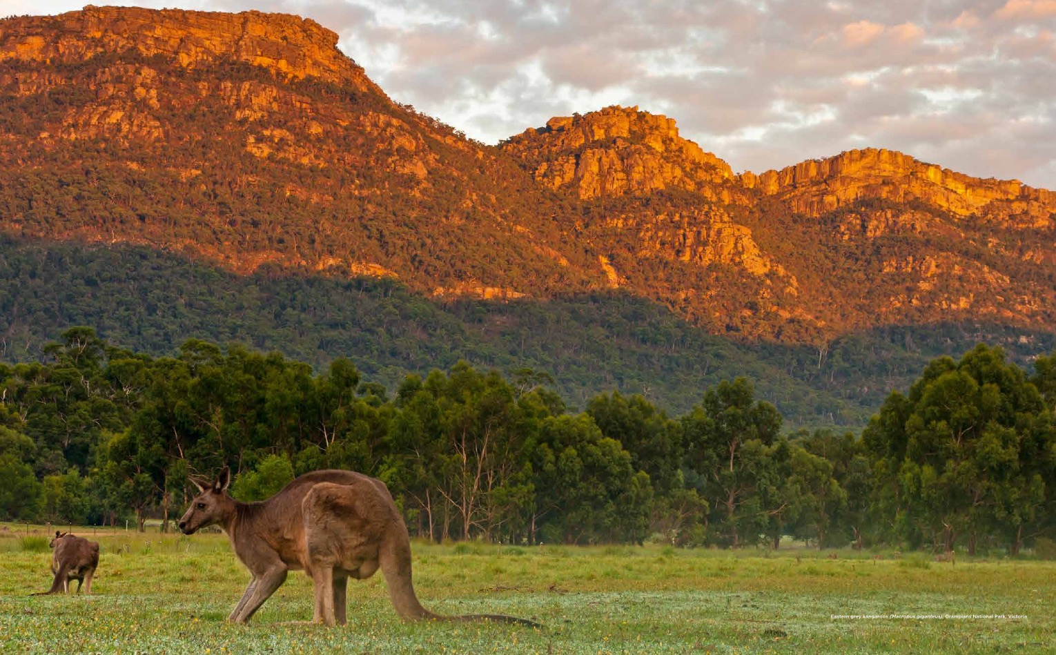 Australia Australia