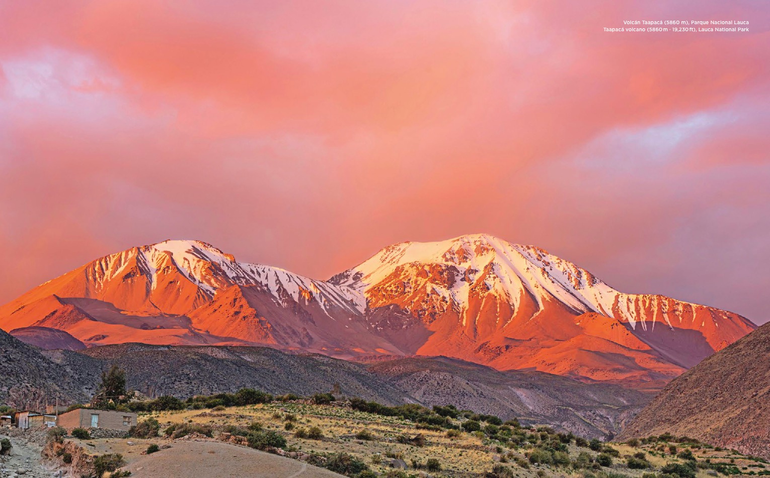 Chile Chile
