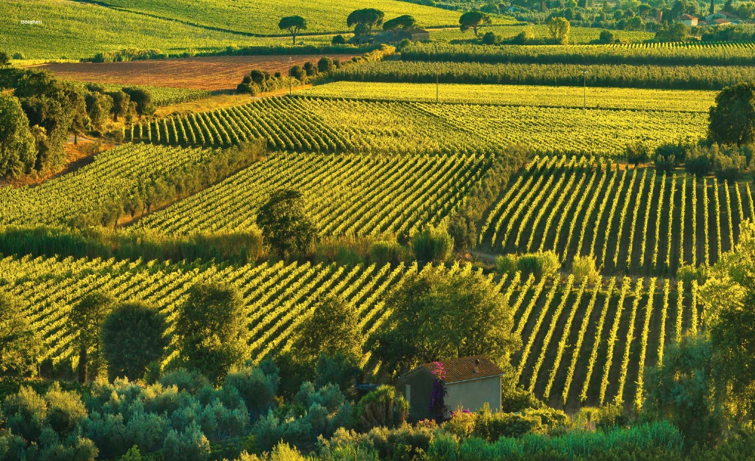 Toscana Toscana