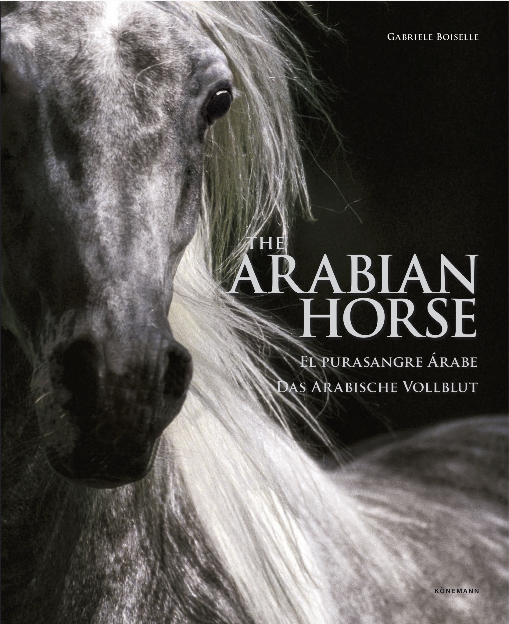 The Arabian Horse